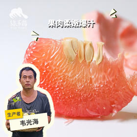 生态青柚 | 合作生产 *Ecological green pomelo | Partner Production