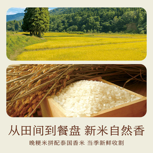 南食召 石磨年糕 商品图3