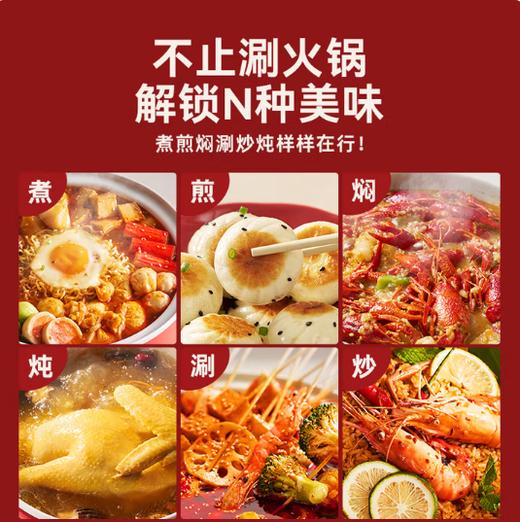 大宇电火锅S29 商品图3