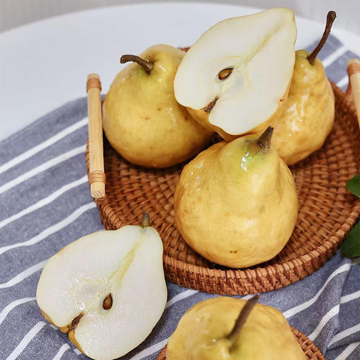 中华丑梨 商品图0