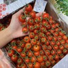 一颗大番茄串千禧 甜 商品缩略图11