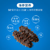 忘舌鲜食海参500g/袋*2袋 （8-12根/斤）  产地：福建宁德霞浦 商品缩略图1