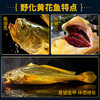 （感恩季直播）秒杀 忘舌 野化冰鲜大黄鱼（礼盒装）顺丰直达  产地：福建宁德霞浦 商品缩略图1
