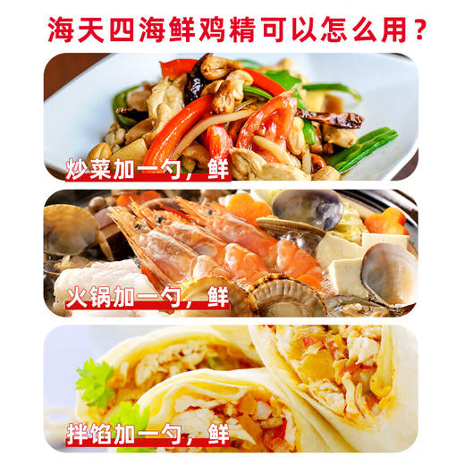 海天精选鸡精200g 商品图4