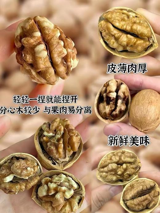 新疆和田核桃王 /阿克苏纸皮核桃新疆特产坚果 新疆直发 100元/3kg 商品图10