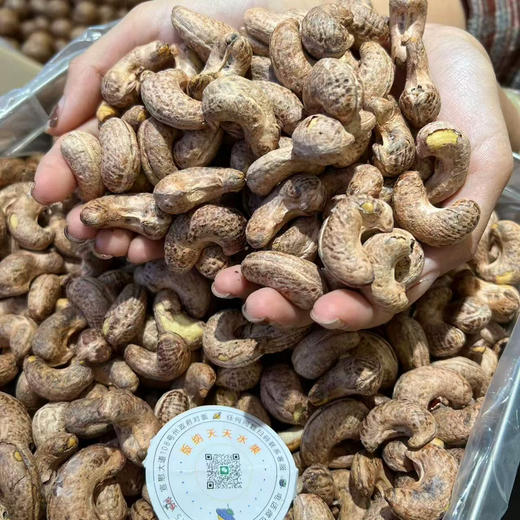 越南紫皮腰果 坚果 商品图0