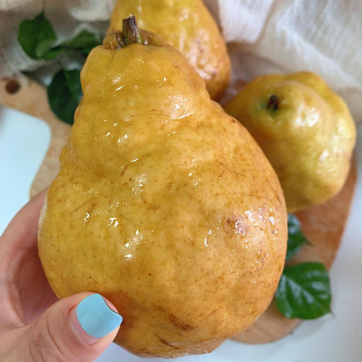 中华丑梨 商品图1