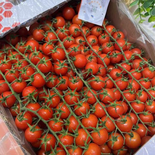 一颗大番茄串千禧 甜 商品图5