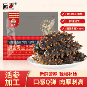 忘舌鲜食海参500g/袋*2袋 （8-12根/斤）  产地：福建宁德霞浦