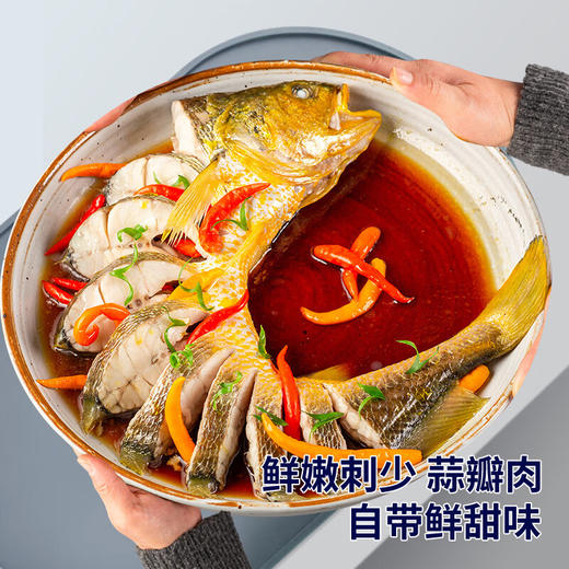 （感恩季直播）秒杀 忘舌 野化冰鲜大黄鱼（礼盒装）顺丰直达  产地：福建宁德霞浦 商品图2