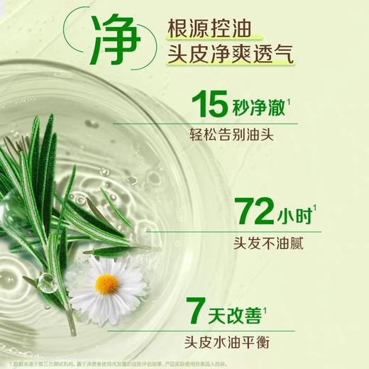 惠润洗发露(绿野芳香)<大瓶装>600ml 商品图4