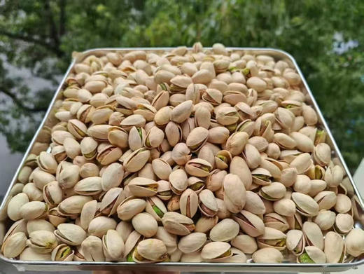 开心果 坚果 商品图1