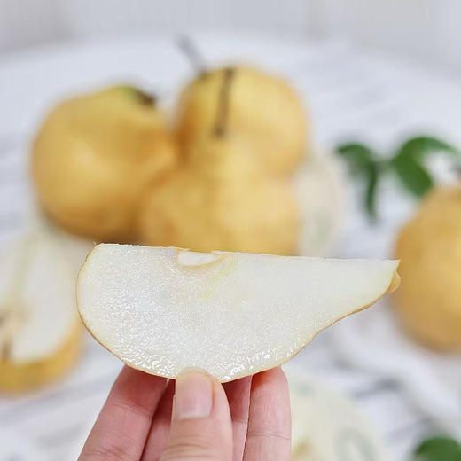 中华丑梨 商品图2