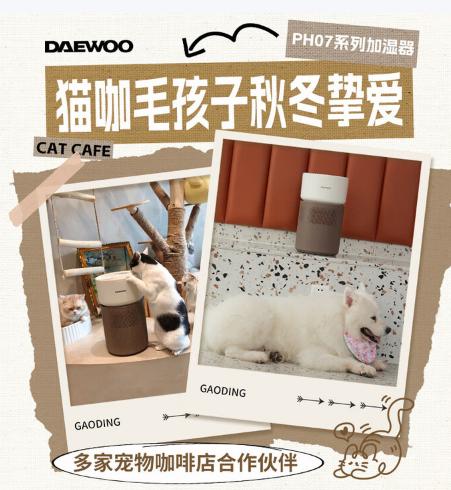 大宇无雾加湿器PH07/PH07PRO 商品图4