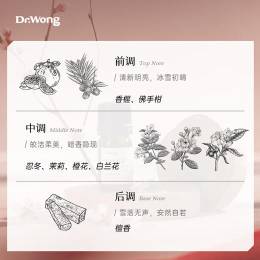「暗香疏影」植物香薰精油5ml 商品图1