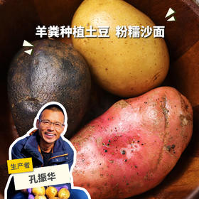 生态三色土豆（申通快递）| 合作生产 *Ecological potato | Partner Production