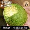 【云南孟连牛油果】顺丰到家 需催熟 颗颗精选 果肉饱满 清新果香 果肉细腻可口 4种规格任选 商品缩略图4