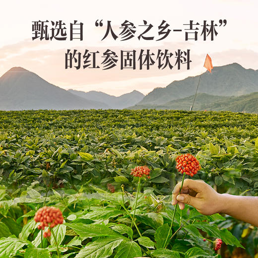 康美暖参饮（红参固体饮料）45克（3克*15袋）/盒 滋补营养冲泡养生茶茶饮【买一送一】 商品图1