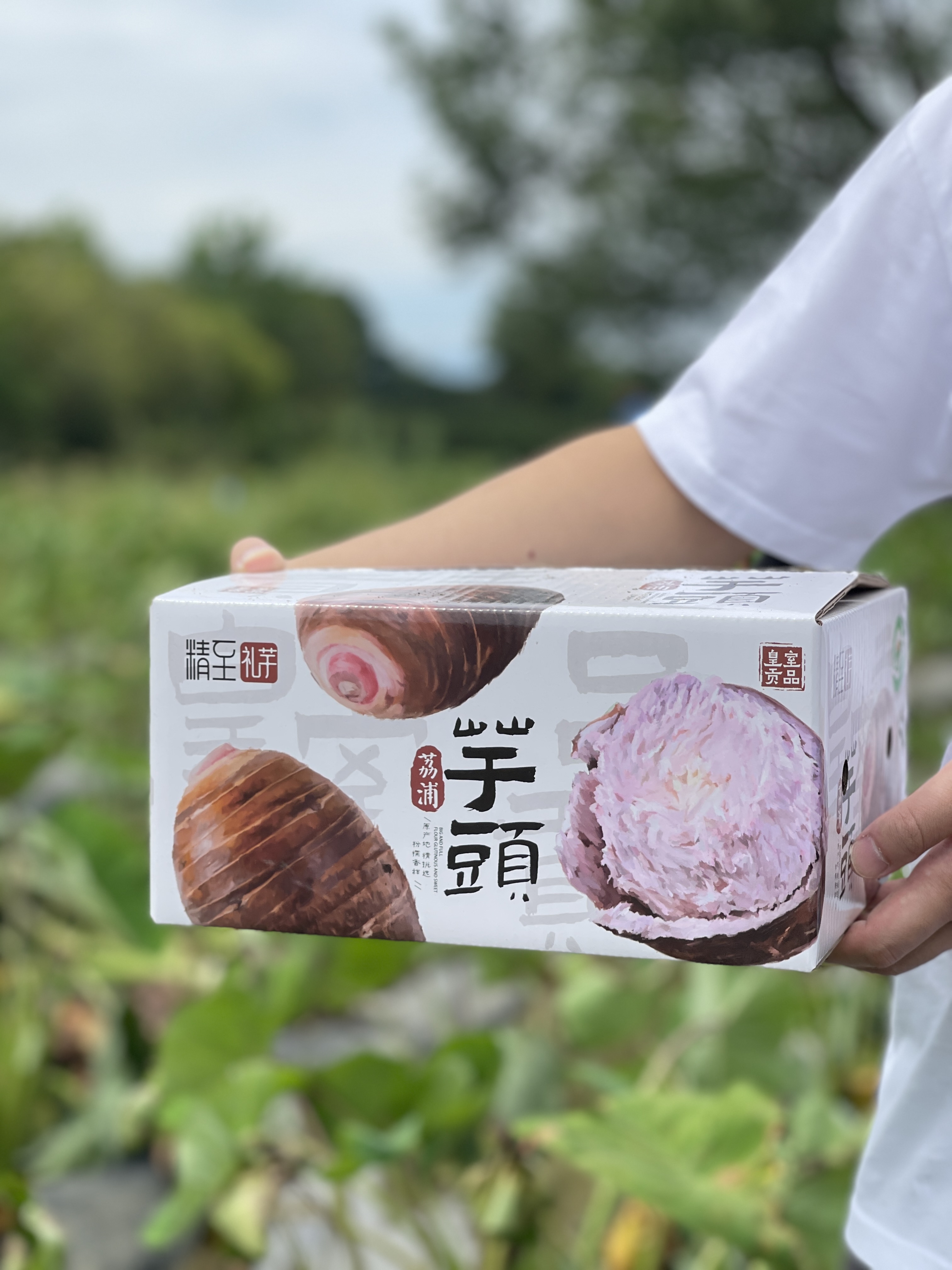 广西荔浦 芋头 新鲜包邮 农家自种 粉香