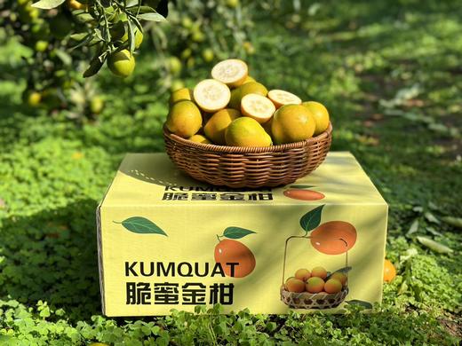 云南大理高原脆蜜金柑 商品图1