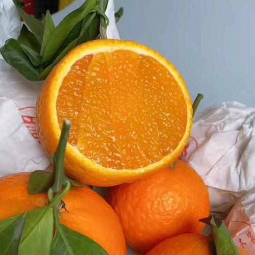 爱媛果冻橙1Kg+  5~6个 商品图1