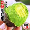 【云南孟连牛油果】顺丰到家 需催熟 颗颗精选 果肉饱满 清新果香 果肉细腻可口 4种规格任选 商品缩略图1