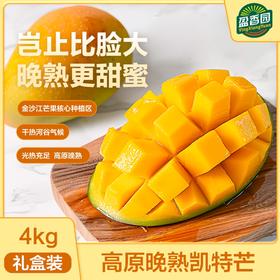 盈香园 四川攀枝花凯特芒精品4kg礼盒装(单果600g+)