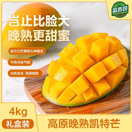 盈香园 四川攀枝花凯特芒精品4kg礼盒装(单果600g+) 商品图0