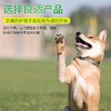 德国cdvet施德维特 肌底修复液 犬猫通用 商品缩略图4