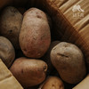 生态三色土豆（申通快递）| 合作生产 *Ecological potato | Partner Production 商品缩略图4