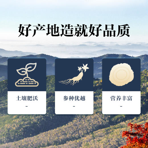 康美新开河人参粉60g（3g*20袋）/盒 足龄老参超细粉泡水冲服养生滋补 商品图1