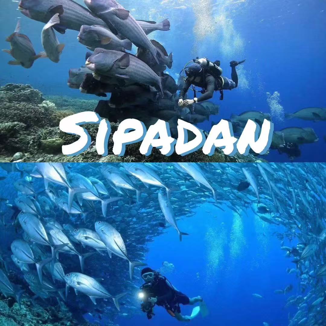 【5.2-5.6】5天4晚9潜可考证！【五一假期诗巴丹上帝的水族箱】7799元/人！