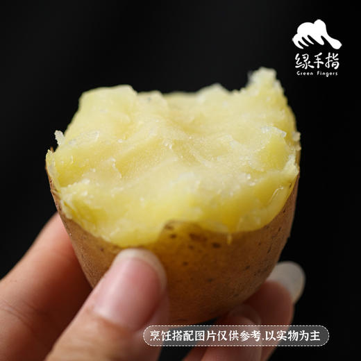 生态三色土豆（申通快递）| 合作生产 *Ecological potato | Partner Production 商品图3