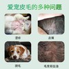 德国cdvet施德维特 肌底修复液 犬猫通用 商品缩略图3