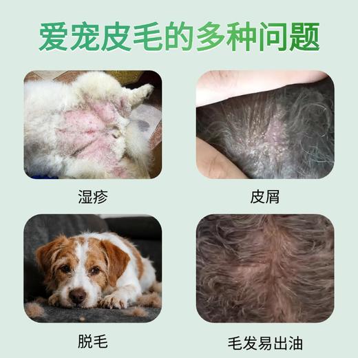 德国cdvet施德维特 肌底修复液 犬猫通用 商品图3