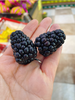 黑莓一盒 商品缩略图1