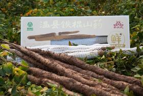 温县垆土铁棍山药