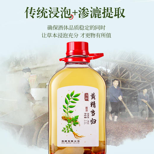 【新品】40°劲牌黄精当归酒2.3L 商品图1