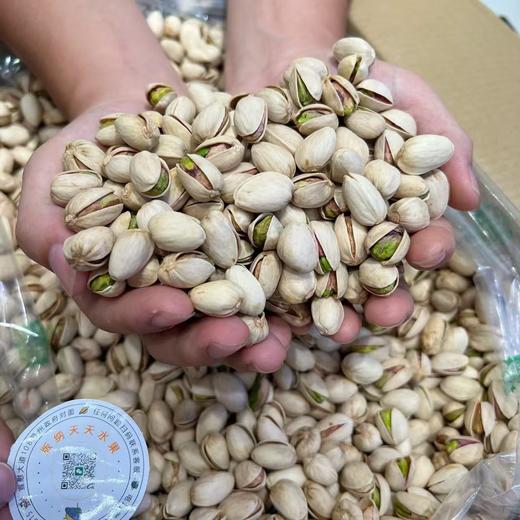 开心果 坚果 商品图0