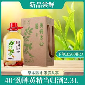 【新品】40°劲牌黄精当归酒2.3L