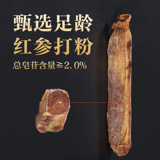 康美新开河红参粉60g（3g*20袋）/盒 足龄老参超细粉泡水冲服养生滋补 商品图2