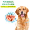 德国cdvet施德维特 肌底修复液 犬猫通用 商品缩略图5
