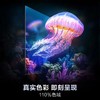 【天津】【海尔】【不含安装】电视_144Hz高刷高色域_65D50C 商品缩略图4
