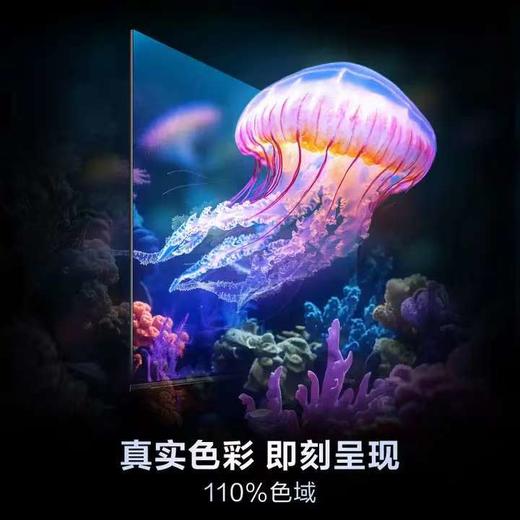 【天津】【海尔】【不含安装】电视_144Hz高刷高色域_65D50C 商品图4