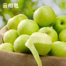 王林苹果新疆 树上熟青森王林青苹果 香甜脆时令鲜果新疆特产