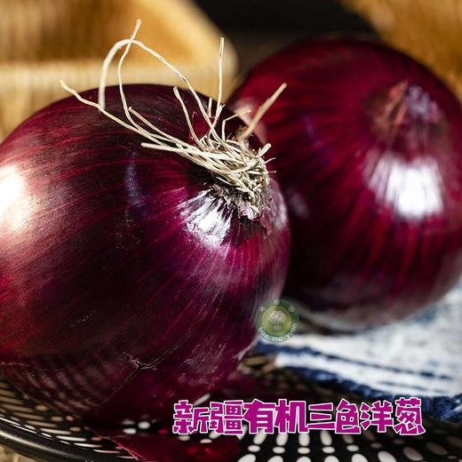新疆半亩园有机三色拼洋葱（白黄紫） 商品图2