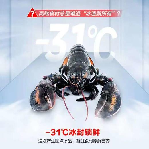 【天津】【容声】【不含安装】冰箱_十字对开门风冷无霜_BCD-510WSK1FPCZA 商品图5