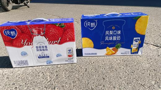 纯甄风味酸奶一箱 商品图0