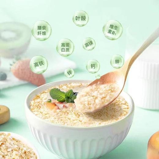 阴山优麦低GI燕麦片420g 商品图3