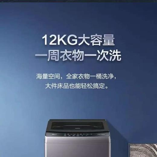 【天津】【海尔】【不含安装】洗衣机_12KG大容量波轮_EB120B53Pro3 商品图1